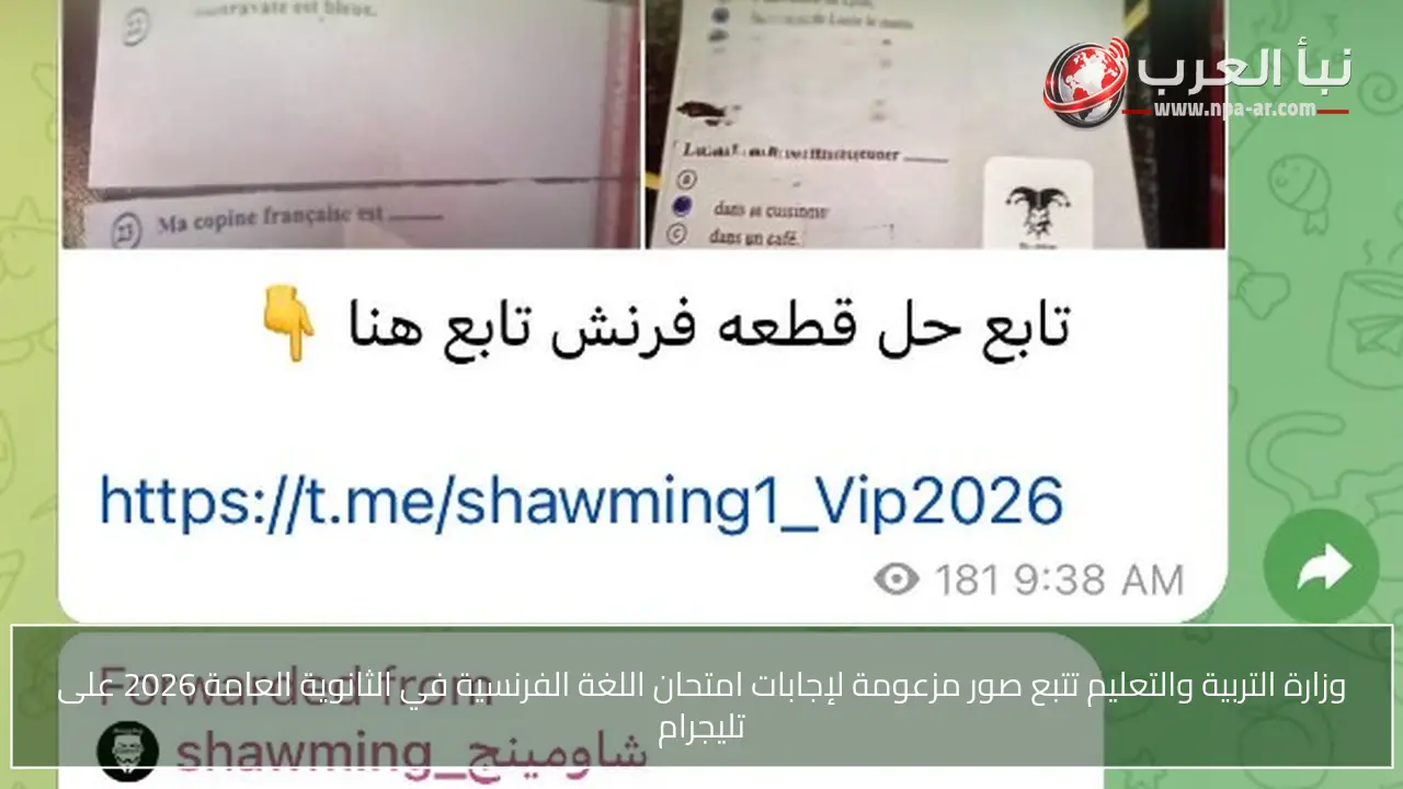 وزارة التربية والتعليم تتبع صور مزعومة لإجابات امتحان اللغة الفرنسية في الثانوية العامة 2026 على تليجرام