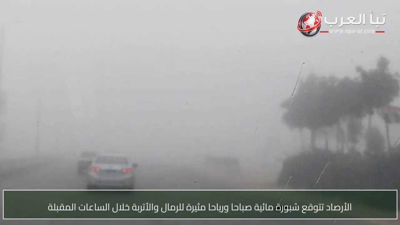 الأرصاد تتوقع شبورة مائية صباحا ورياحا مثيرة للرمال والأتربة خلال الساعات المقبلة