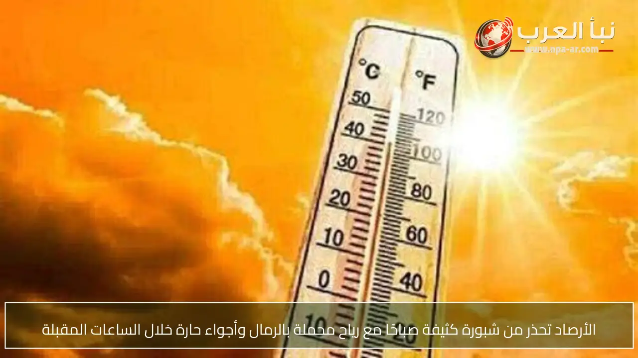 الأرصاد تحذر من شبورة كثيفة صباحًا مع رياح محملة بالرمال وأجواء حارة خلال الساعات المقبلة