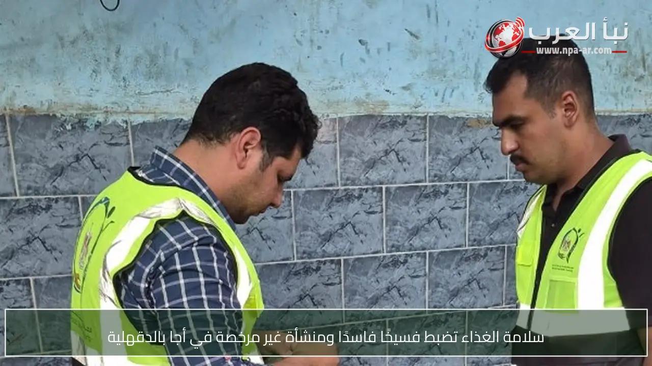 سلامة الغذاء تضبط فسيخًا فاسدًا ومنشأة غير مرخصة في أجا بالدقهلية