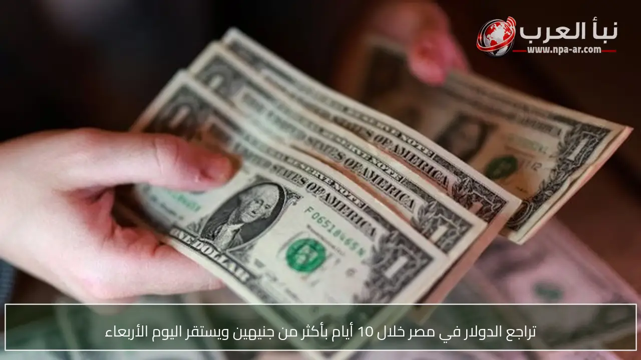 تراجع الدولار في مصر خلال 10 أيام بأكثر من جنيهين ويستقر اليوم الأربعاء