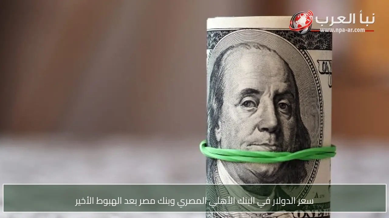 سعر الدولار في البنك الأهلي المصري وبنك مصر بعد الهبوط الأخير
