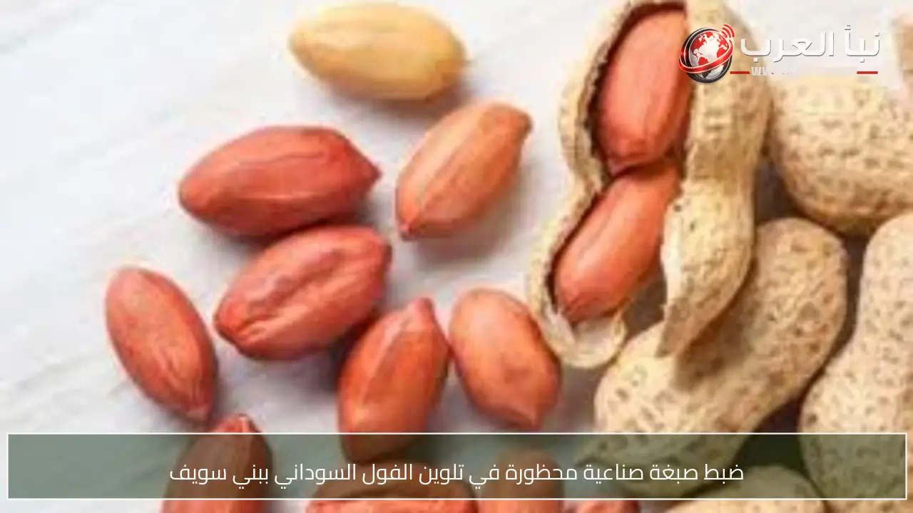 ضبط صبغة صناعية محظورة في تلوين الفول السوداني ببني سويف