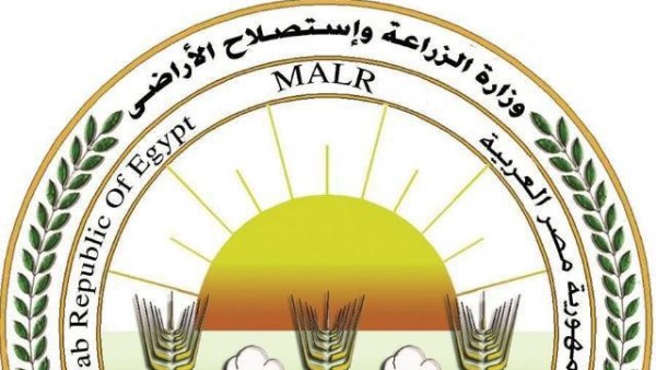 وزارة الزراعة تطلق برنامجًا لتأهيل كوادر الريف في مجالات التكنولوجيا الغذائية وإدارة المشروعات الصغيرة