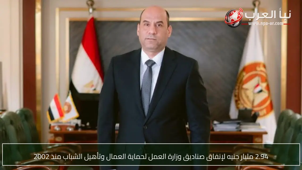 2.94 مليار جنيه لإنفاق صناديق وزارة العمل لحماية العمال وتأهيل الشباب منذ 2002
