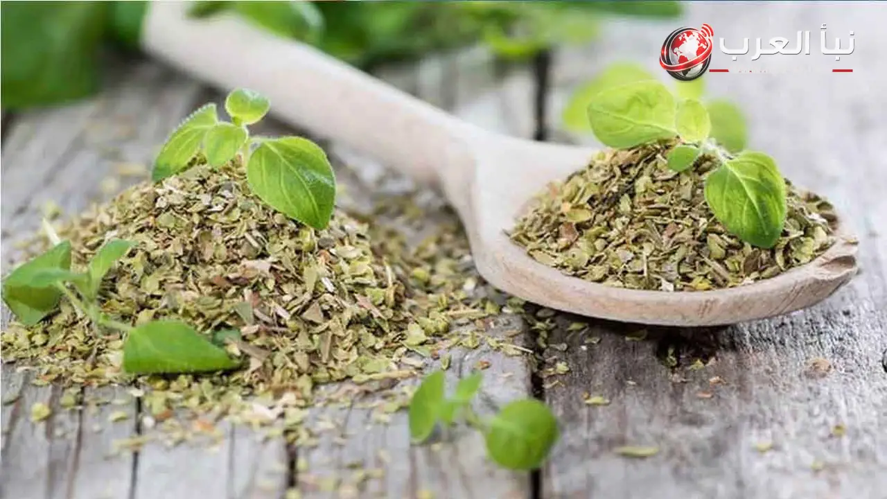 مركز البحوث الزراعية يوضح كيف تدعم مصر صادرات النباتات الطبية والعطرية