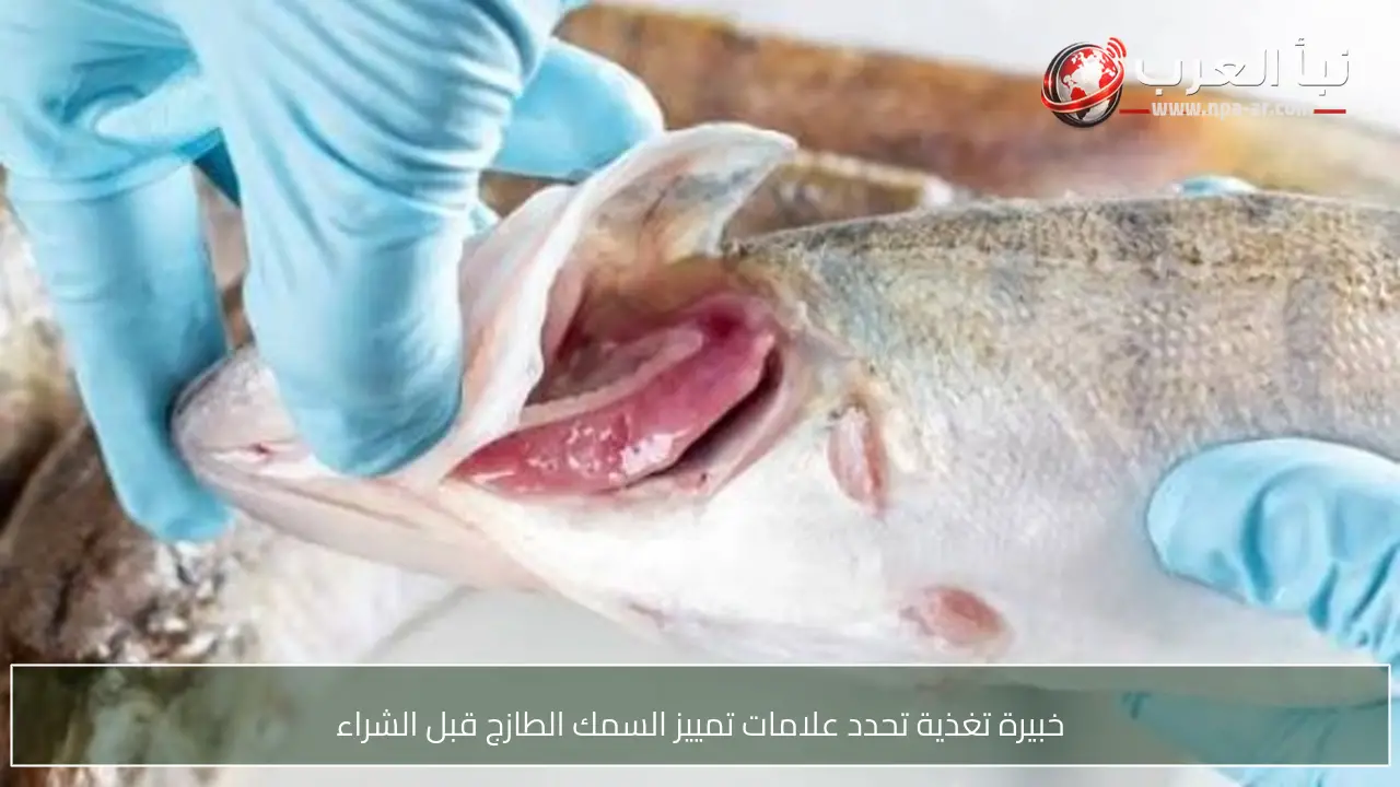 خبيرة تغذية تحدد علامات تمييز السمك الطازج قبل الشراء