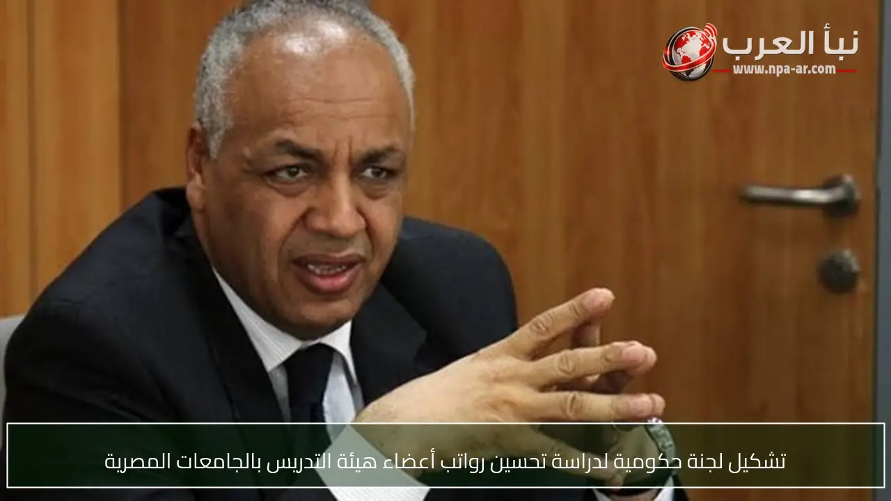 تشكيل لجنة حكومية لدراسة تحسين رواتب أعضاء هيئة التدريس بالجامعات المصرية