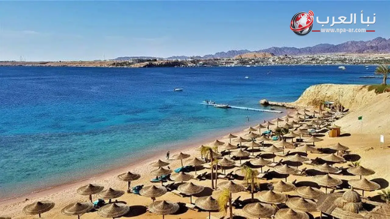 وزارة السياحة تلزم الفنادق المصرية بالتعاقد مع شركات صيانة المصاعد لضمان سلامة النزلاء