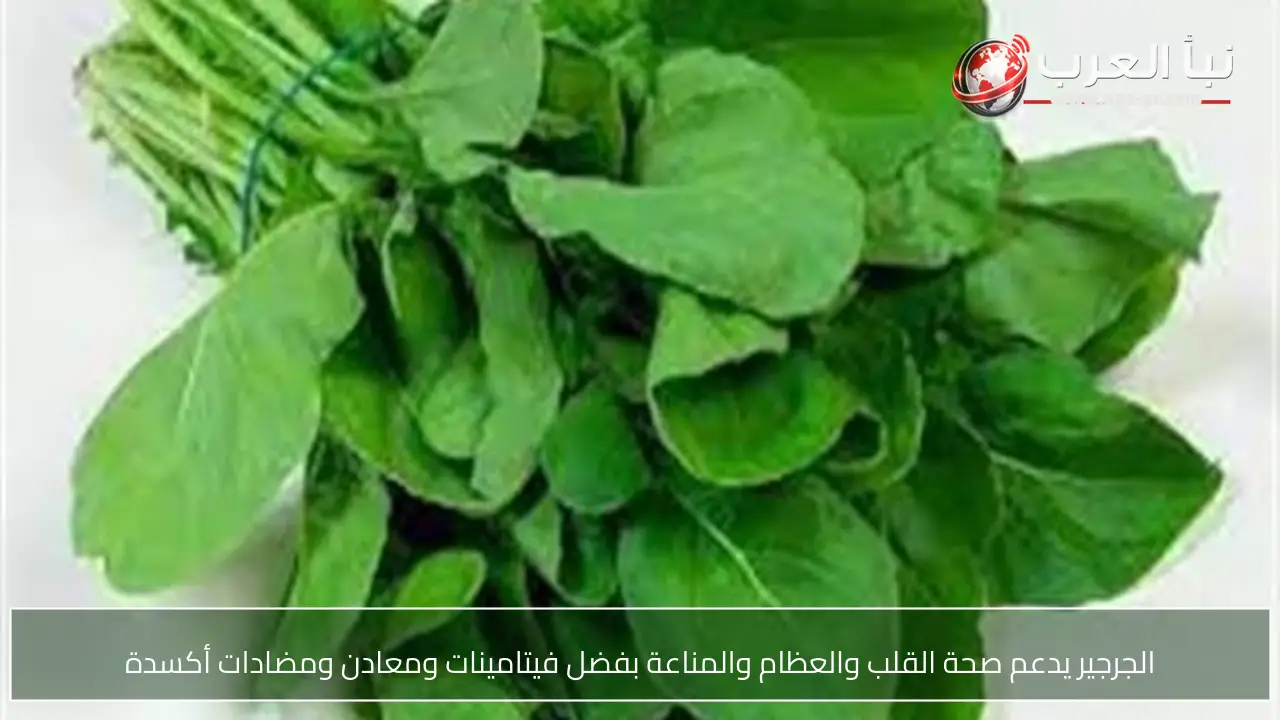 الجرجير يدعم صحة القلب والعظام والمناعة بفضل فيتامينات ومعادن ومضادات أكسدة