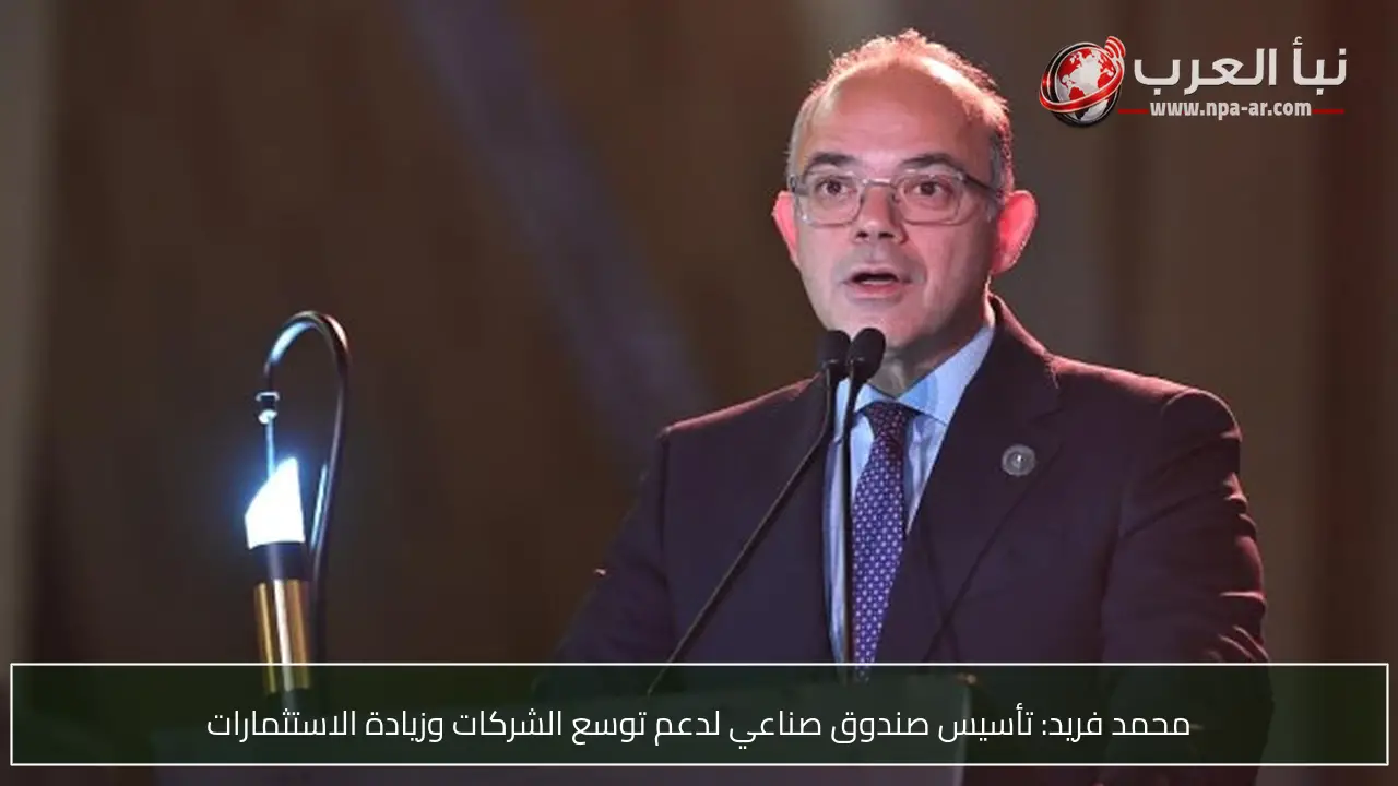 محمد فريد: تأسيس صندوق صناعي لدعم توسع الشركات وزيادة الاستثمارات