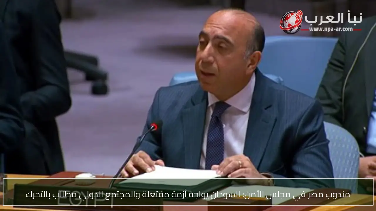 مندوب مصر في مجلس الأمن: السودان يواجه أزمة مفتعلة والمجتمع الدولي مطالب بالتحرك