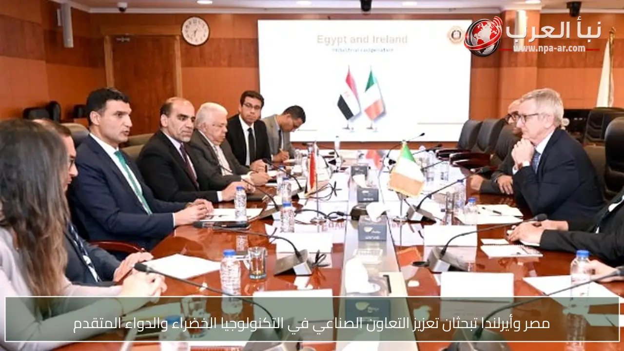 مصر وأيرلندا تبحثان تعزيز التعاون الصناعي في التكنولوجيا الخضراء والدواء المتقدم