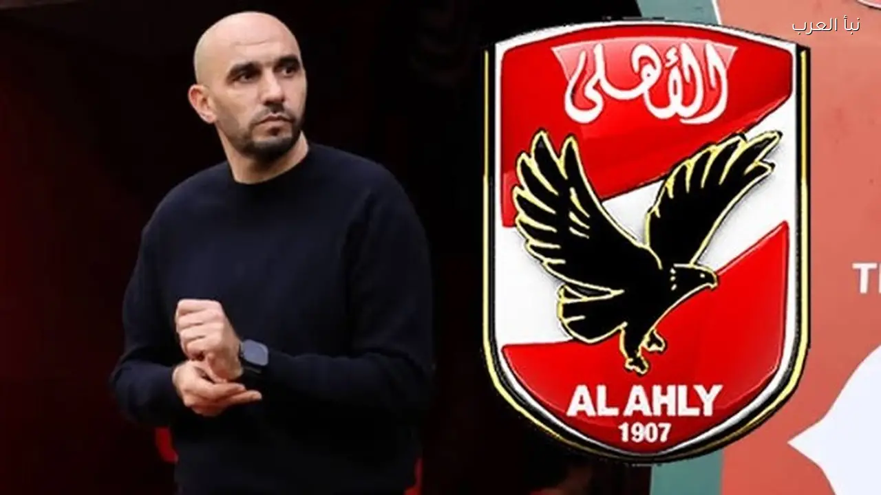إسلام صادق: الأهلي يفاوض وليد الركراكي لخلافة ياس توروب الموسم المقبل
