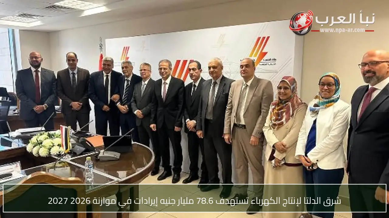 شرق الدلتا لإنتاج الكهرباء تستهدف 78.6 مليار جنيه إيرادات في موازنة 2026 2027