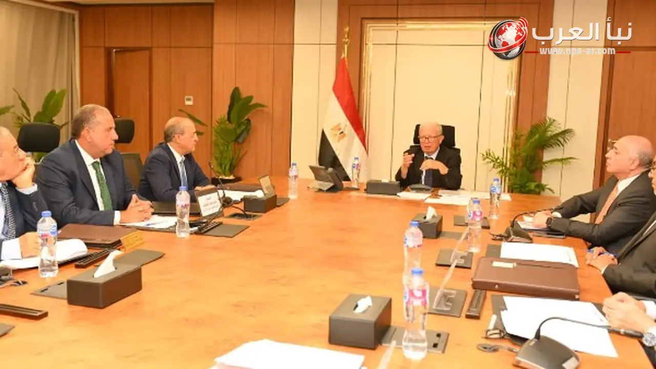 نائب رئيس الوزراء يعتمد توزيع حصة إضافية بقيمة 1.061 مليار جنيه لـ5 شركات قابضة عن العام المالي 2024 2025