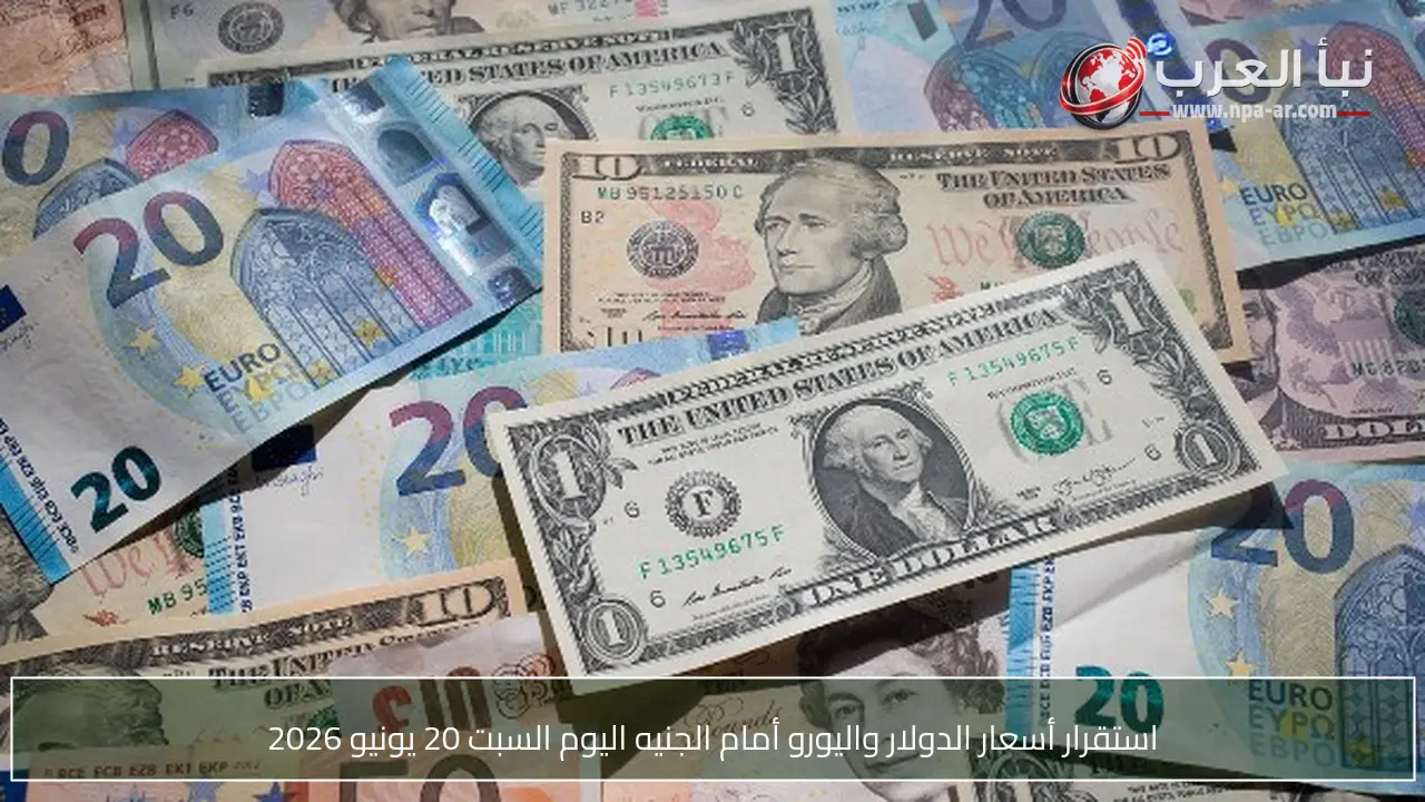 استقرار أسعار الدولار واليورو أمام الجنيه اليوم السبت 20 يونيو 2026