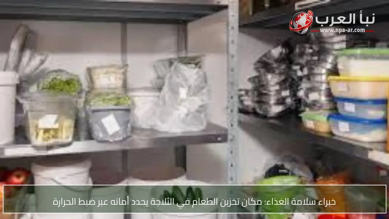 خبراء سلامة الغذاء: مكان تخزين الطعام في الثلاجة يحدد أمانه عبر ضبط الحرارة