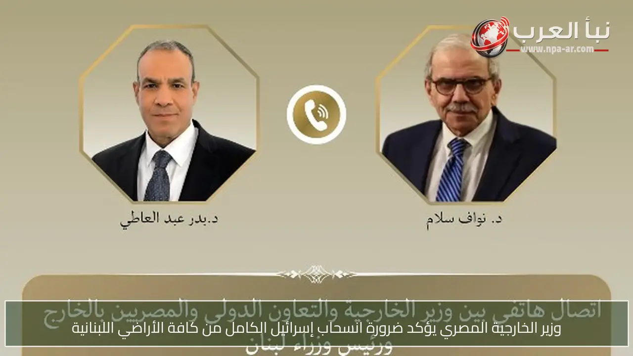 وزير الخارجية المصري يؤكد ضرورة انسحاب إسرائيل الكامل من كافة الأراضي اللبنانية