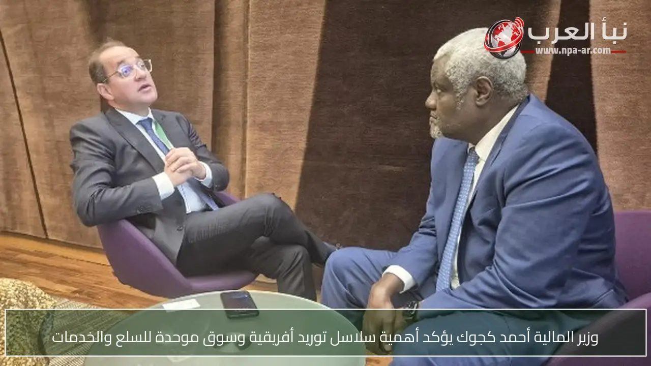 وزير المالية أحمد كجوك يؤكد أهمية سلاسل توريد أفريقية وسوق موحدة للسلع والخدمات