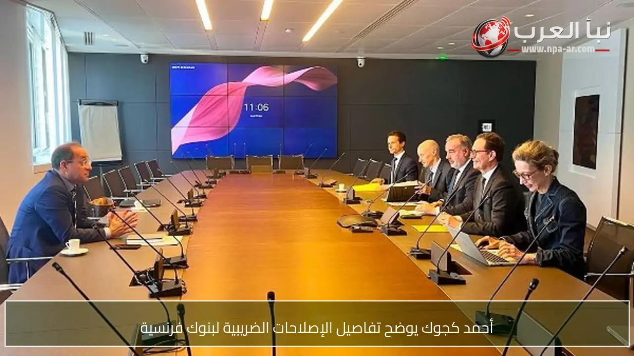 أحمد كجوك يوضح تفاصيل الإصلاحات الضريبية لبنوك فرنسية