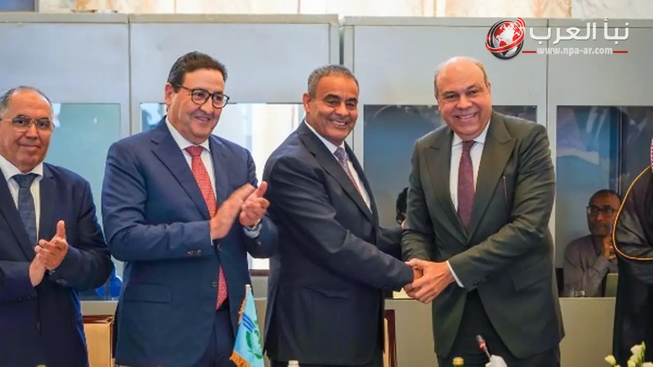 مصر ترأس الجمعية العامة للمنظمة العربية للطيران المدني لعامين وتفوز بعضوية المجلس التنفيذي