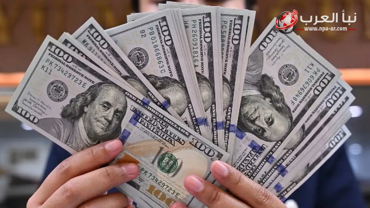 سعر الدولار اليوم الجمعة 3 يوليو 2026 ثابت في أول تعاملات البنوك