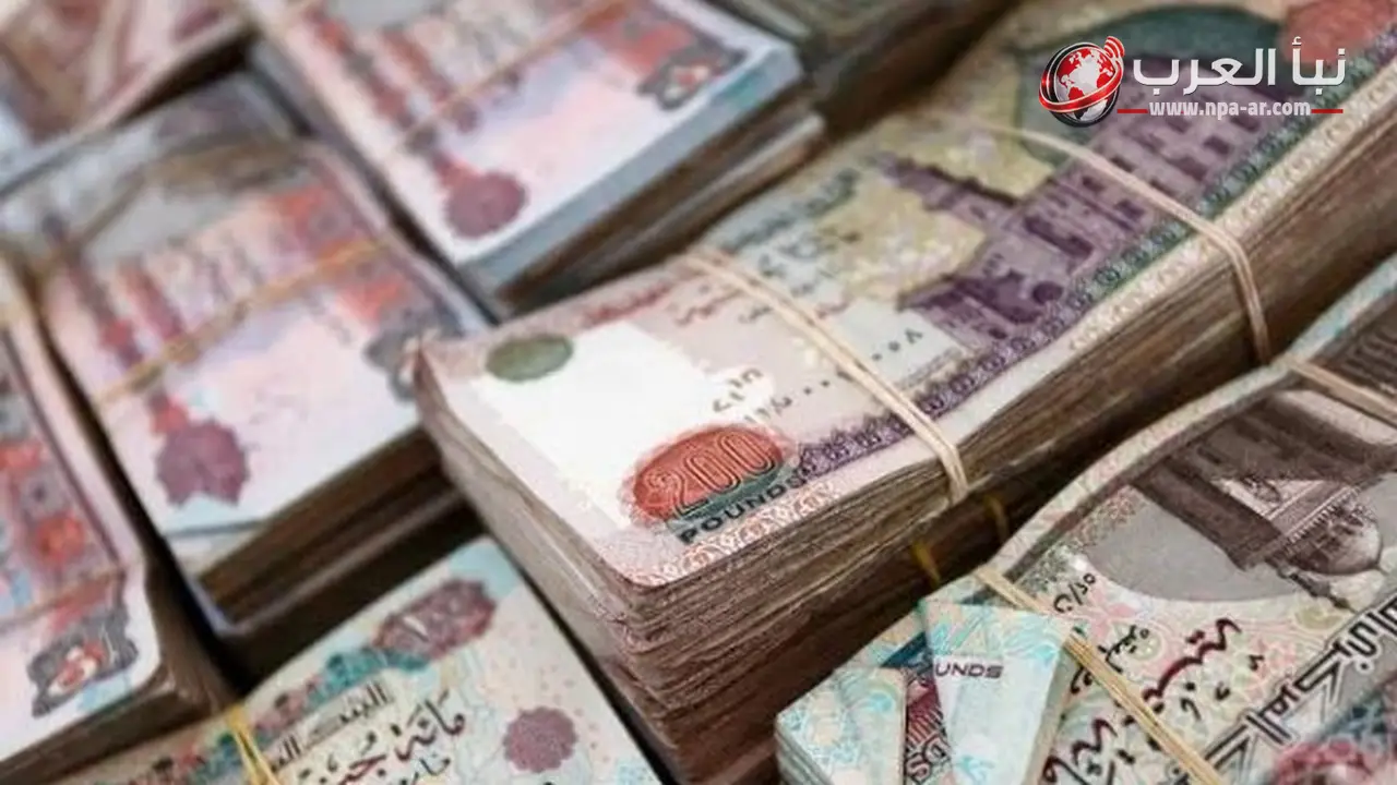 9.2 مليار جنيه تمويلات لشراء سلع استهلاكية خلال فبراير 2026 بزيادة 43.8%