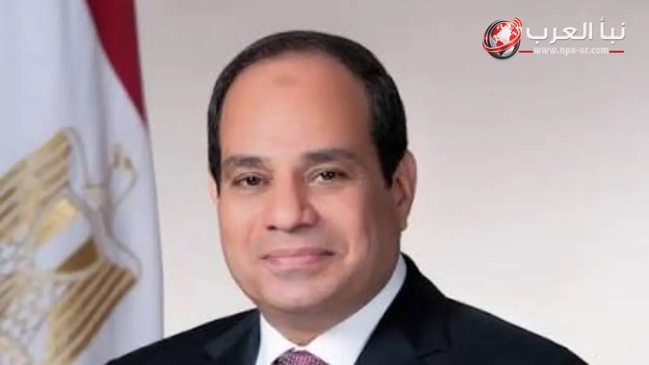 السيسي يتسلم أوراق اعتماد 17 سفيرا جديدا لدى مصر