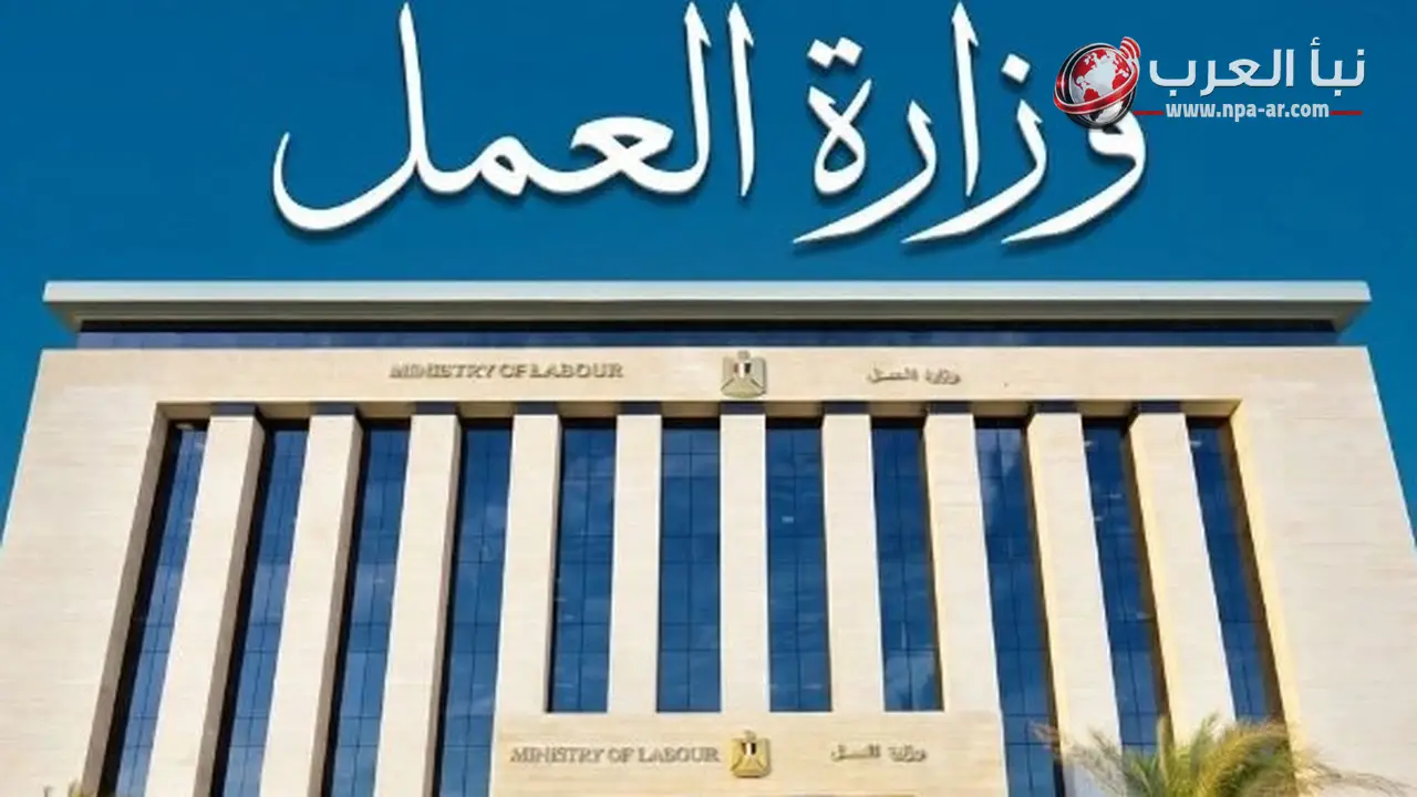 وزارة العمل تعلن 3068 فرصة عمل في 72 شركة خلال يوليو 2026 للشباب في تخصصات متعددة
