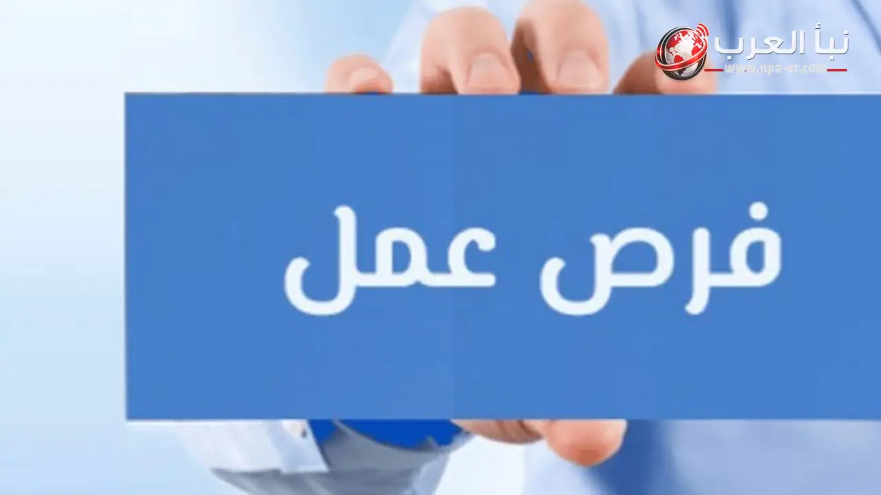 وزارة العمل تعلن 210 فرص عمل في قطاع الأغذية برواتب تصل لـ9700 جنيه بالقاهرة الجديدة