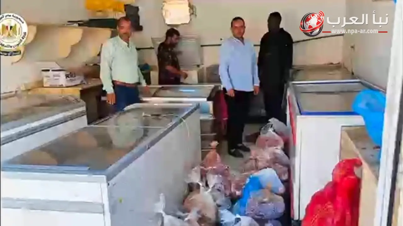 التموين تضبط أكثر من 130 طنًا من السلع والزيوت والمواد الغذائية المخالفة والمدعمة في 11 محافظة